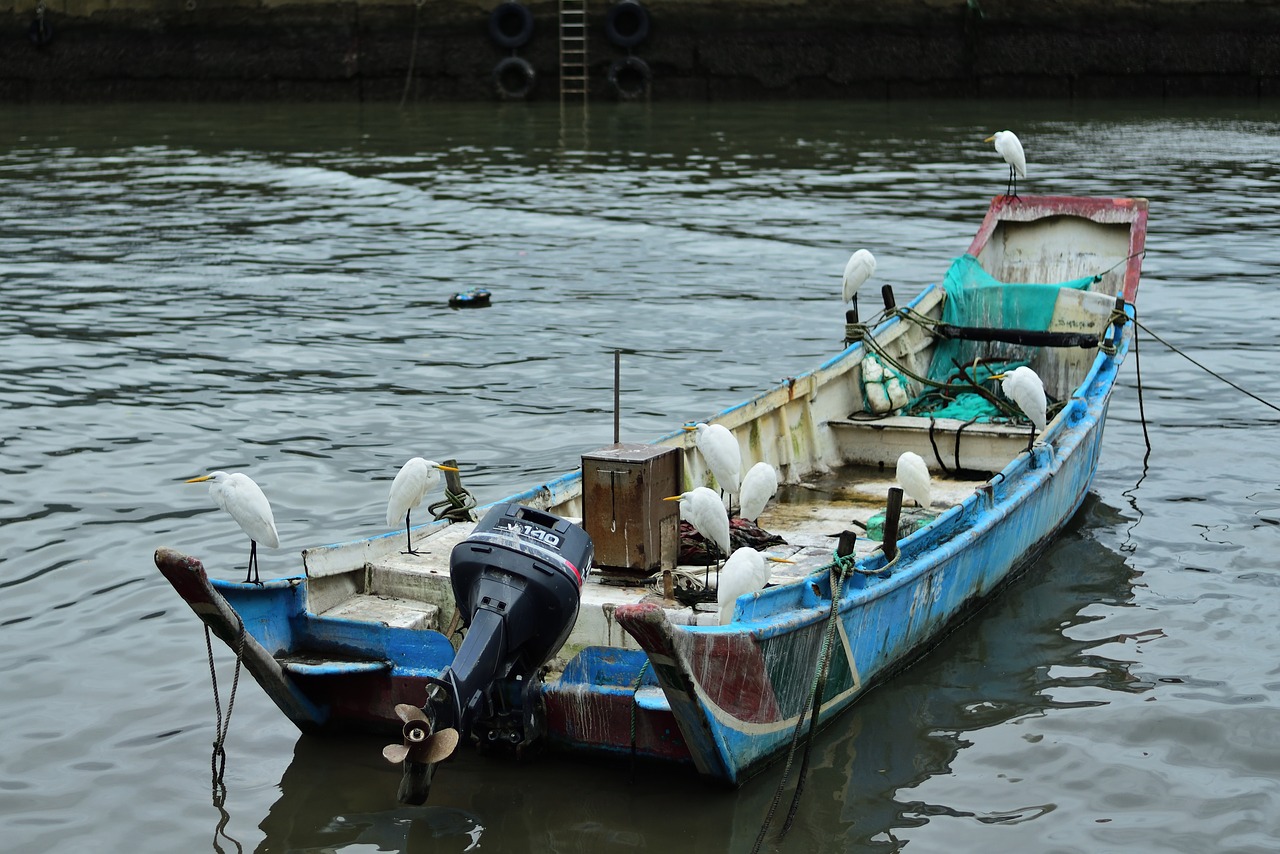 fishing boats  ship  transport free photo