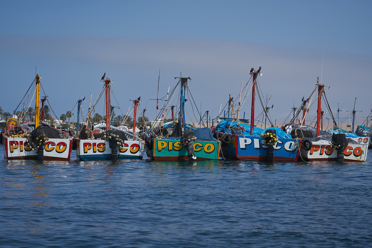 fishing boats  sea  port free photo
