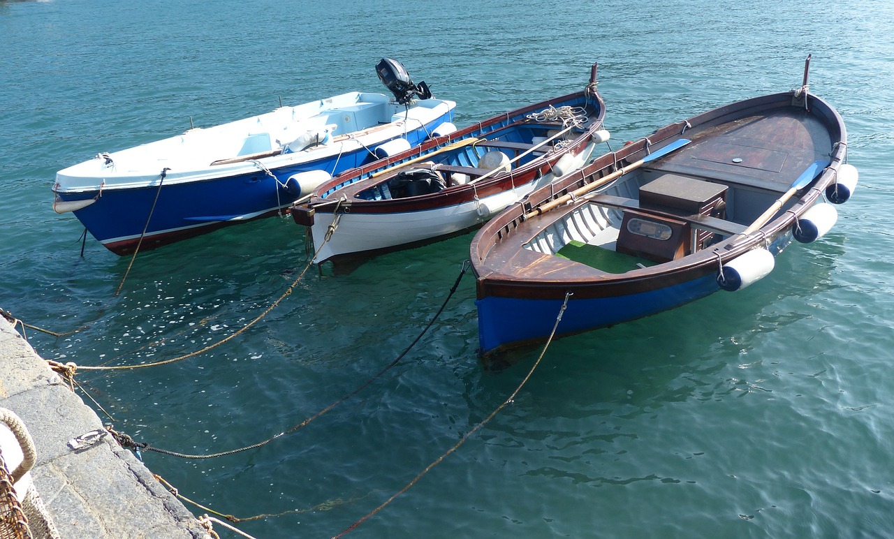 fishing boats port porto venere free photo