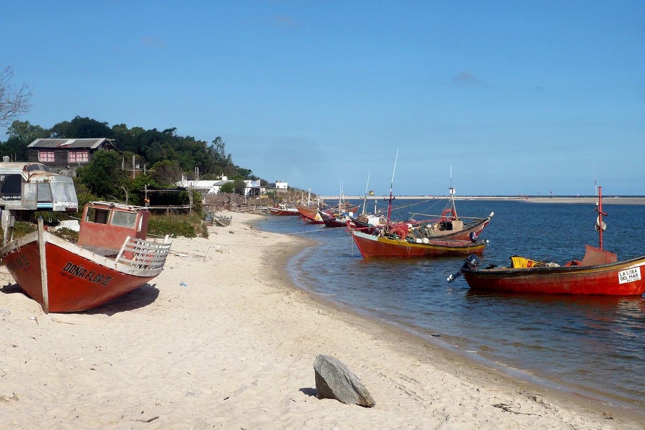 fishing boats boats water free photo