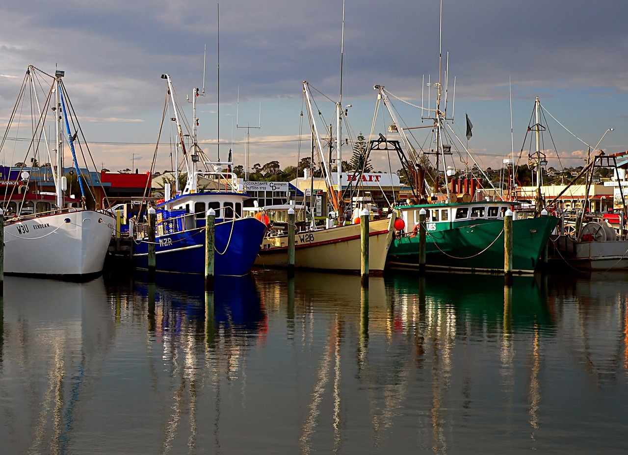 fishing boats port sea free photo