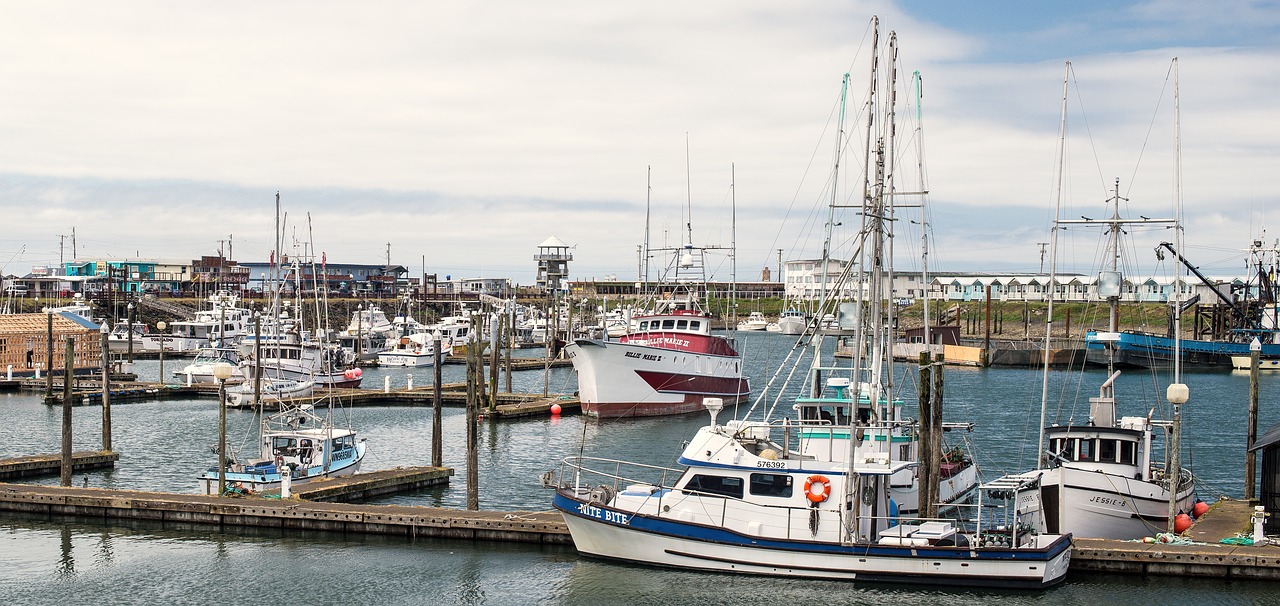 fishing fleet in port  fishing  port free photo