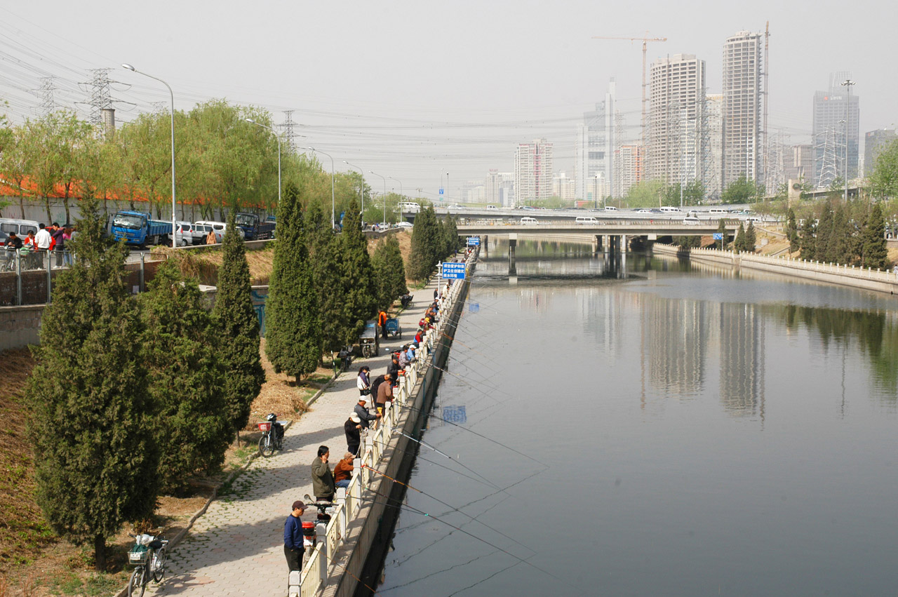 fishing beijing china free photo