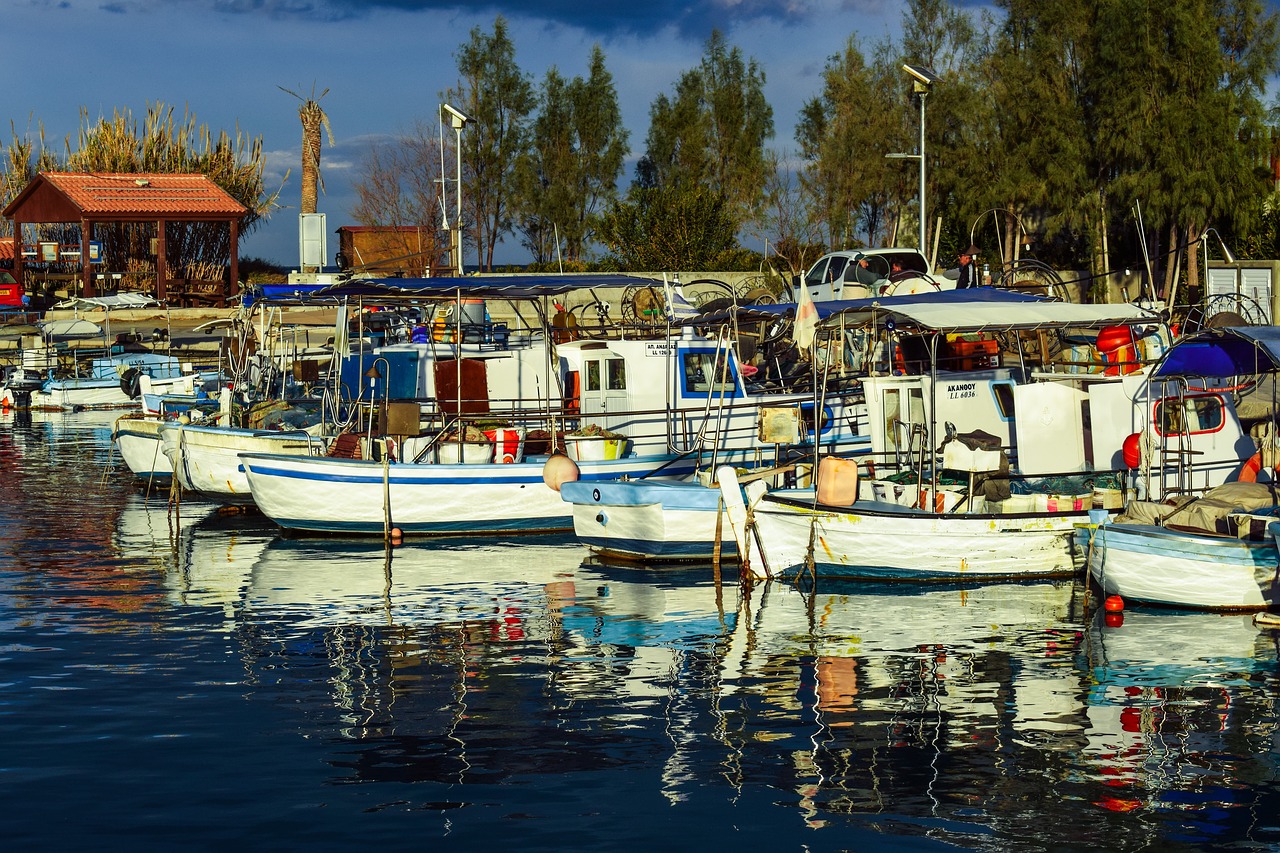 fishing harbor boats sea free photo