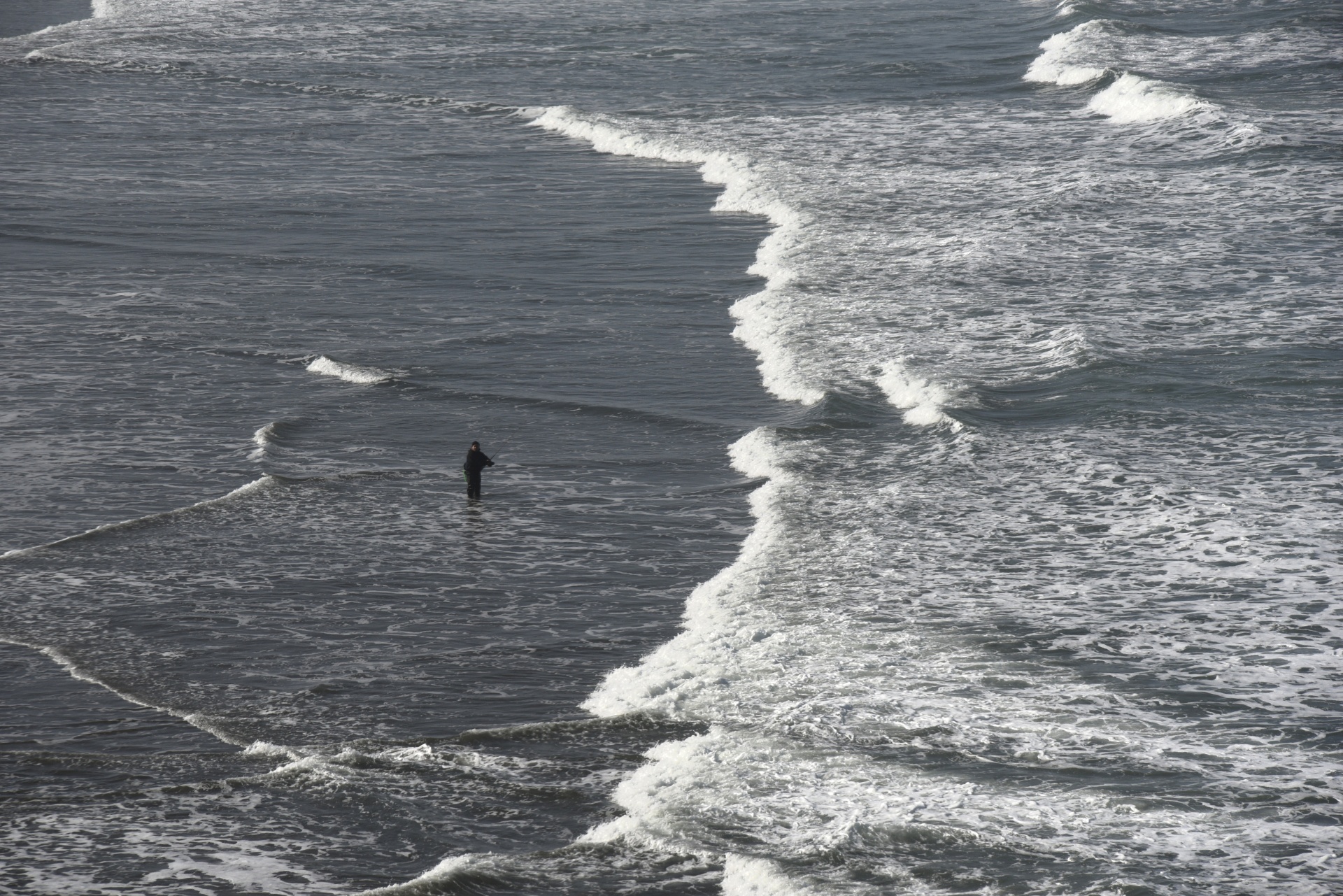 fisherman ocean casting free photo