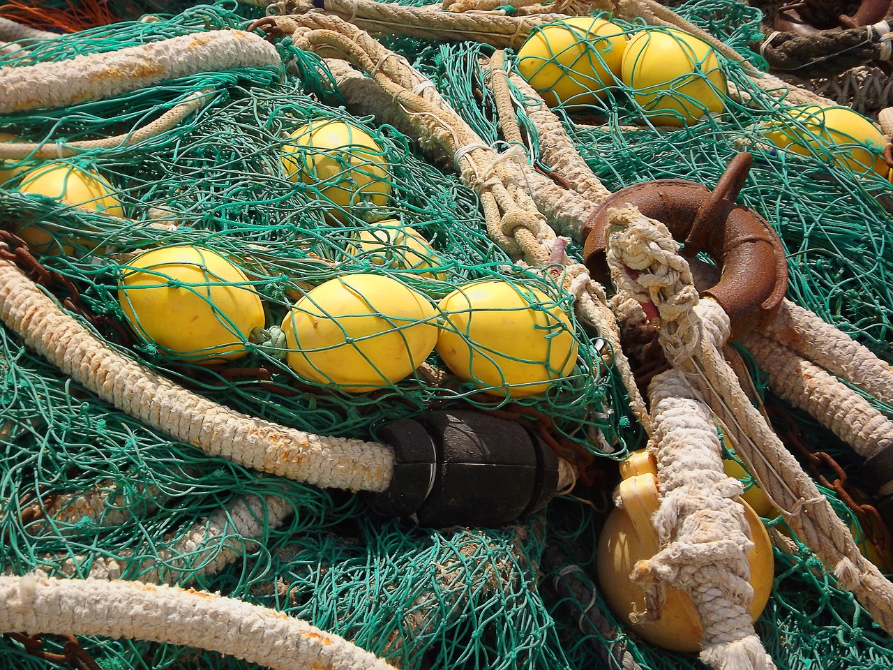 fishing net networks fishing free photo