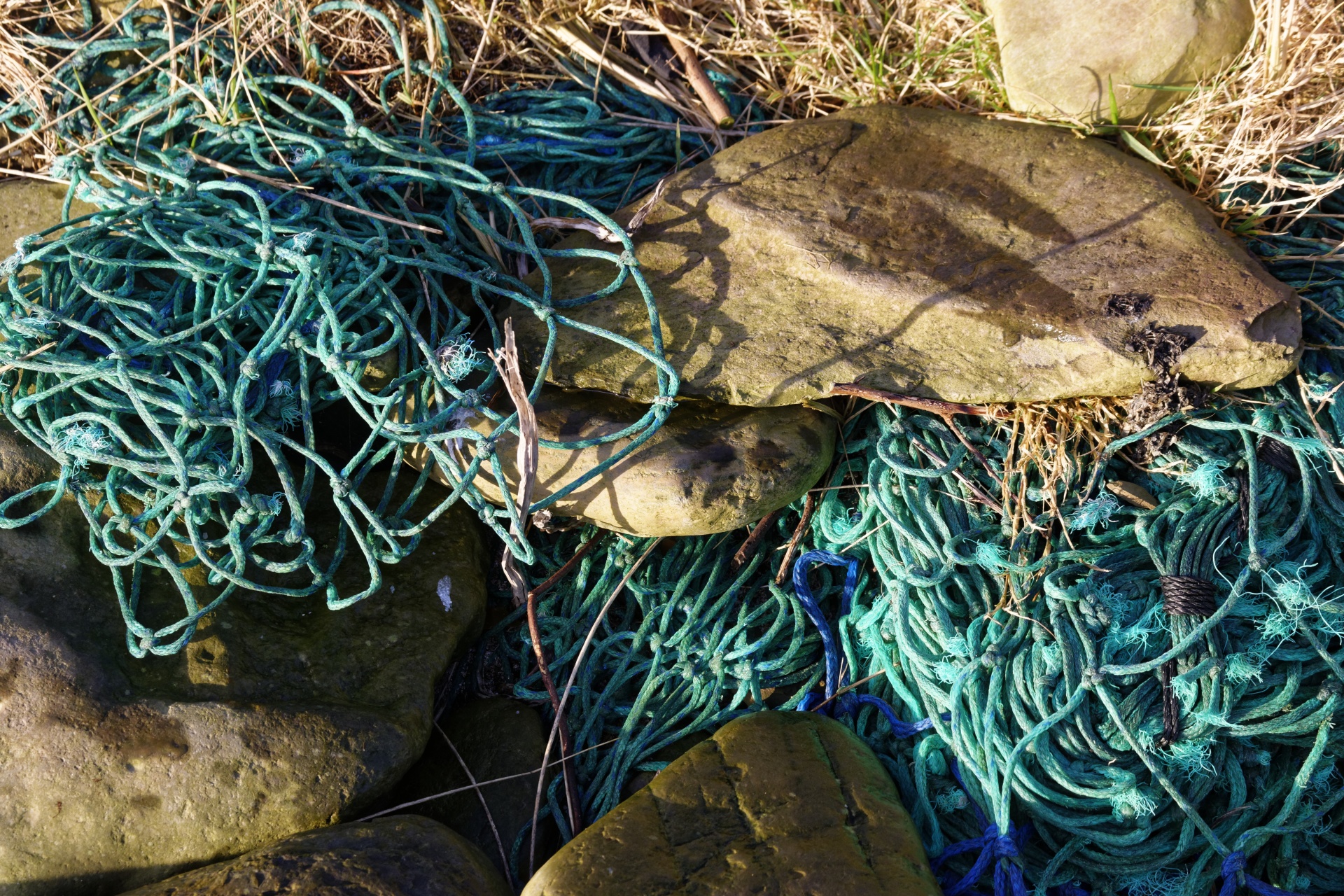 fishing net nets blue free photo