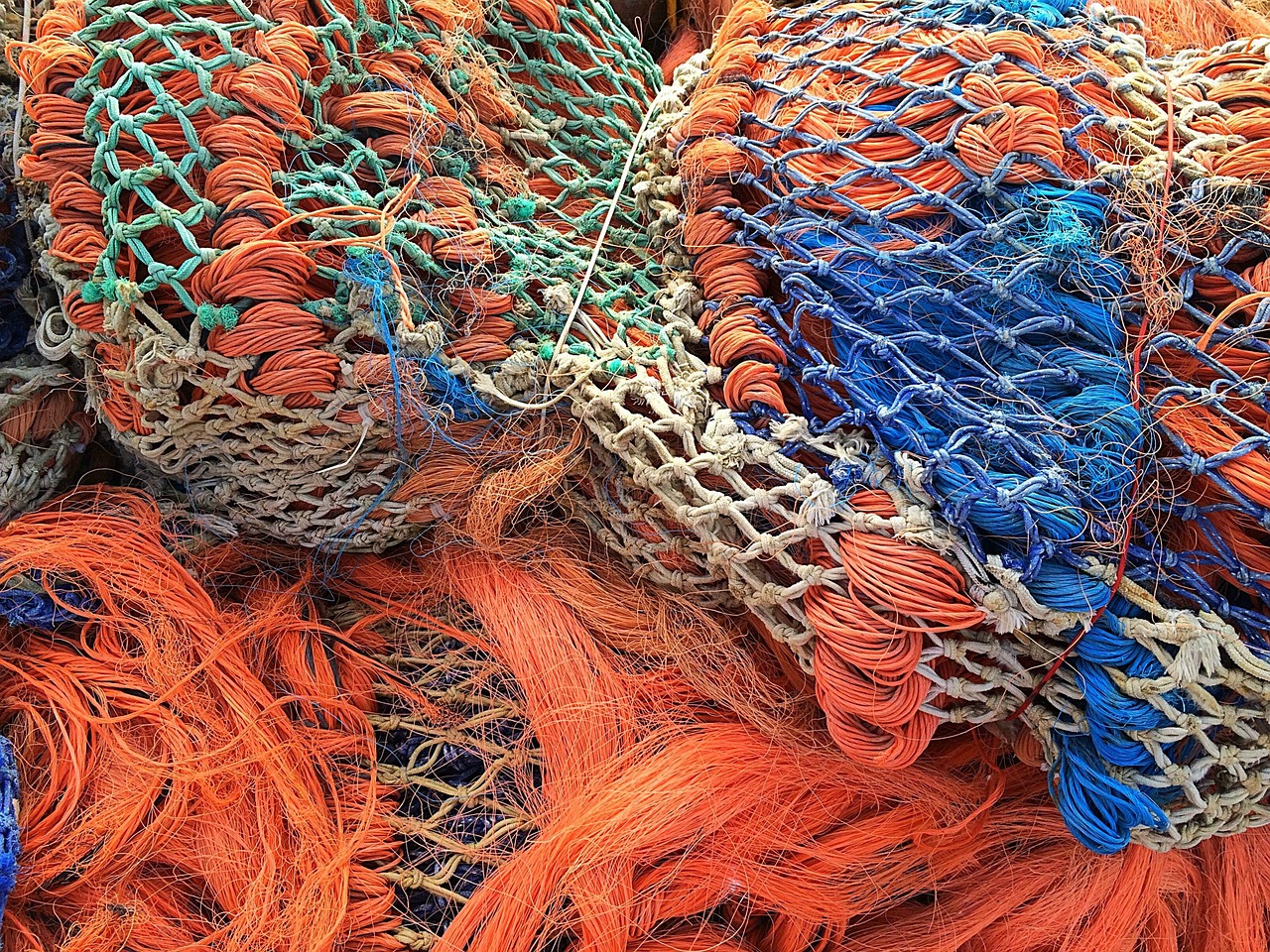 fishing net fishing fischfang orange free photo