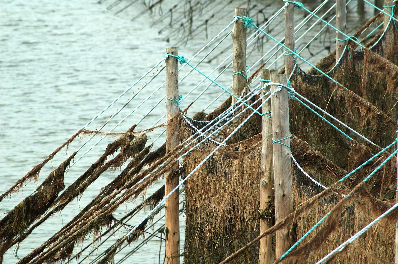 fishing net water river free photo