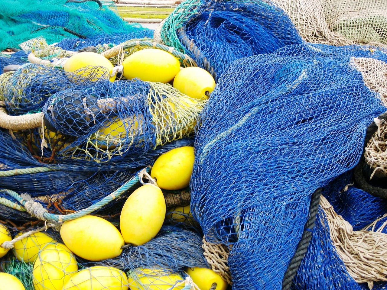 fishing net port andratx mallorca free photo