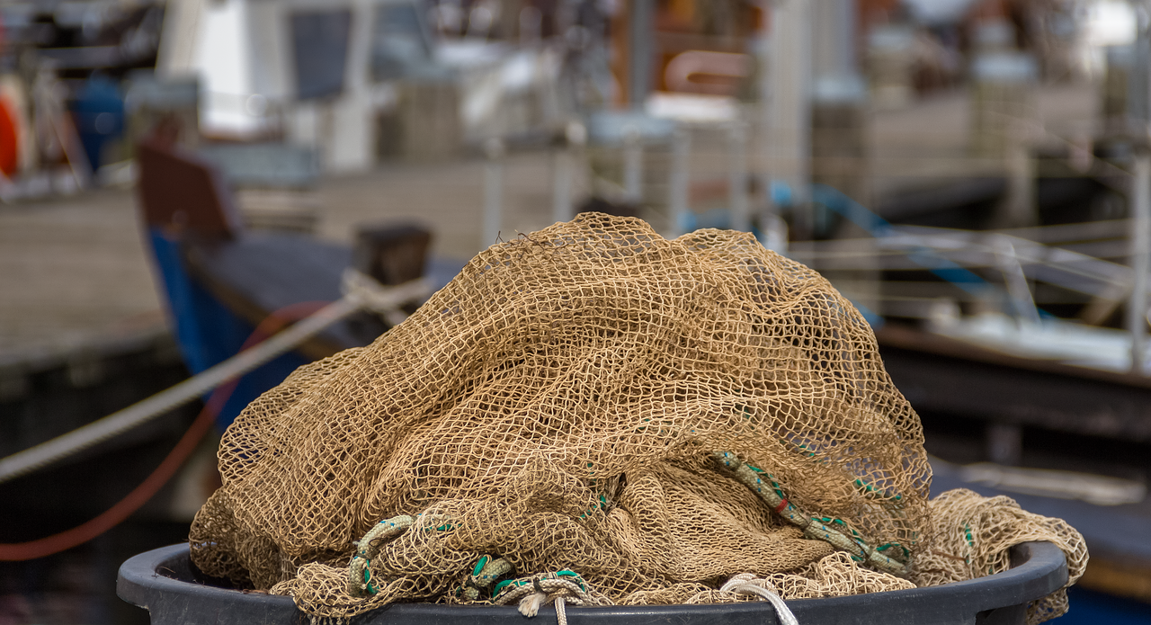 Download free photo of Fishing net,old network,catch,old,seaweed - from