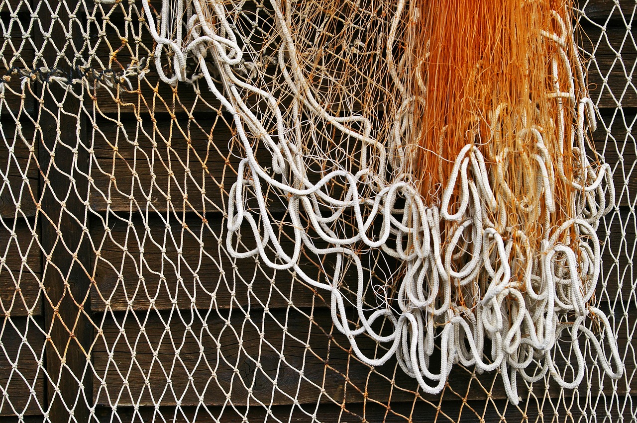 fishing net  fishing  web free photo