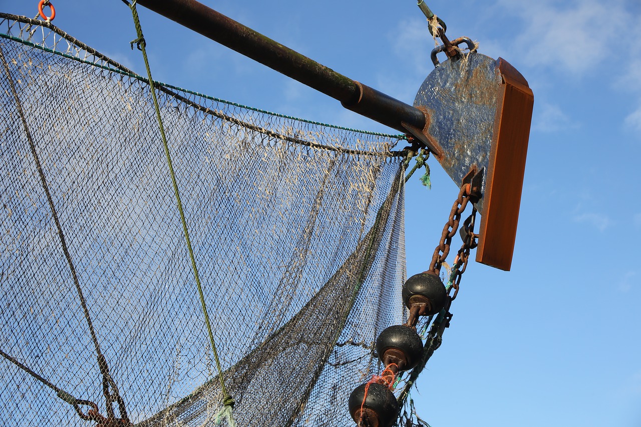 fishing net  fishing vessel  fishing free photo