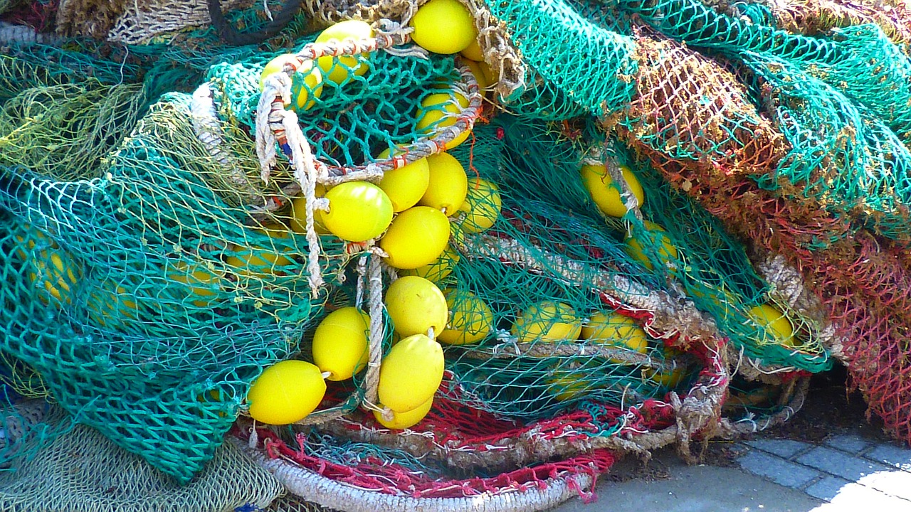 fishing net fishing network free photo