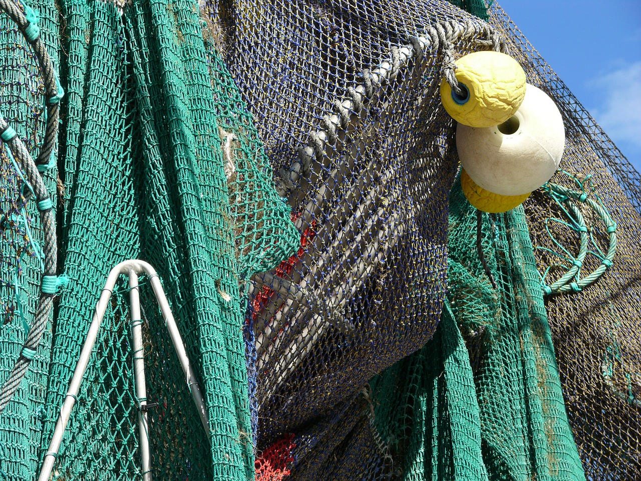 fishing net fishing net free photo
