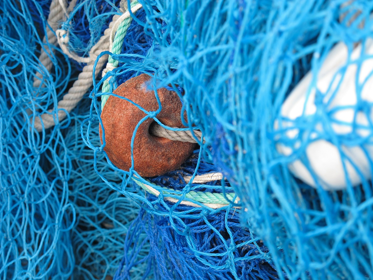 fishing net network fishing free photo