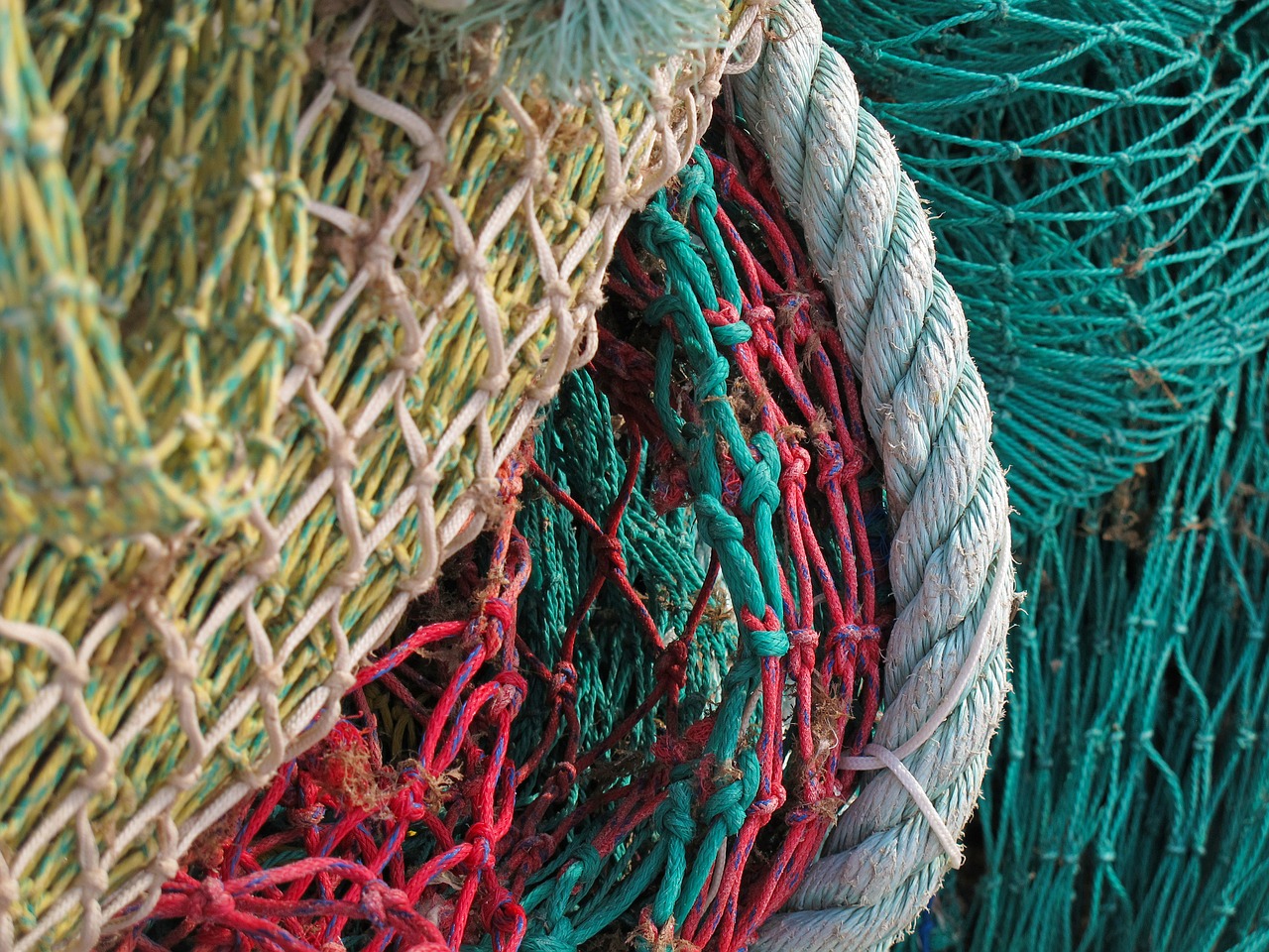 fishing net network fishing free photo