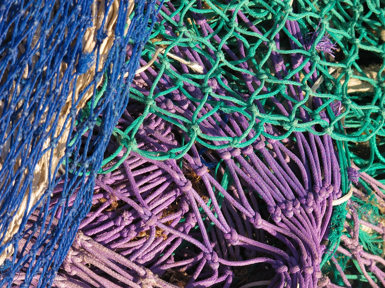 fishing net network fishing free photo