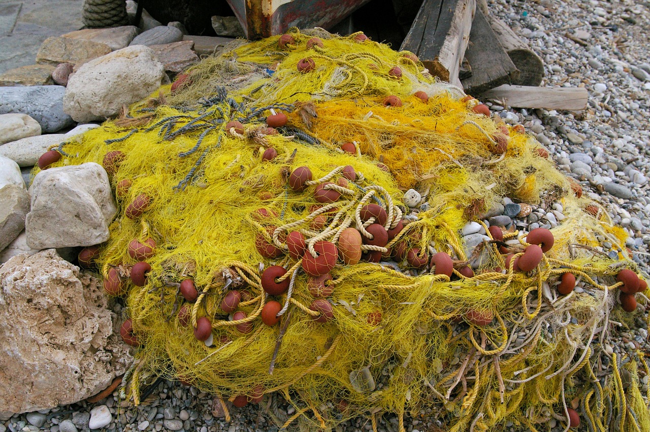 fishing net fishing port free photo