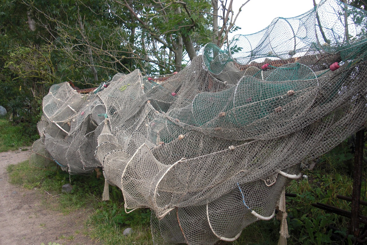 fishing net fish traps fish free photo