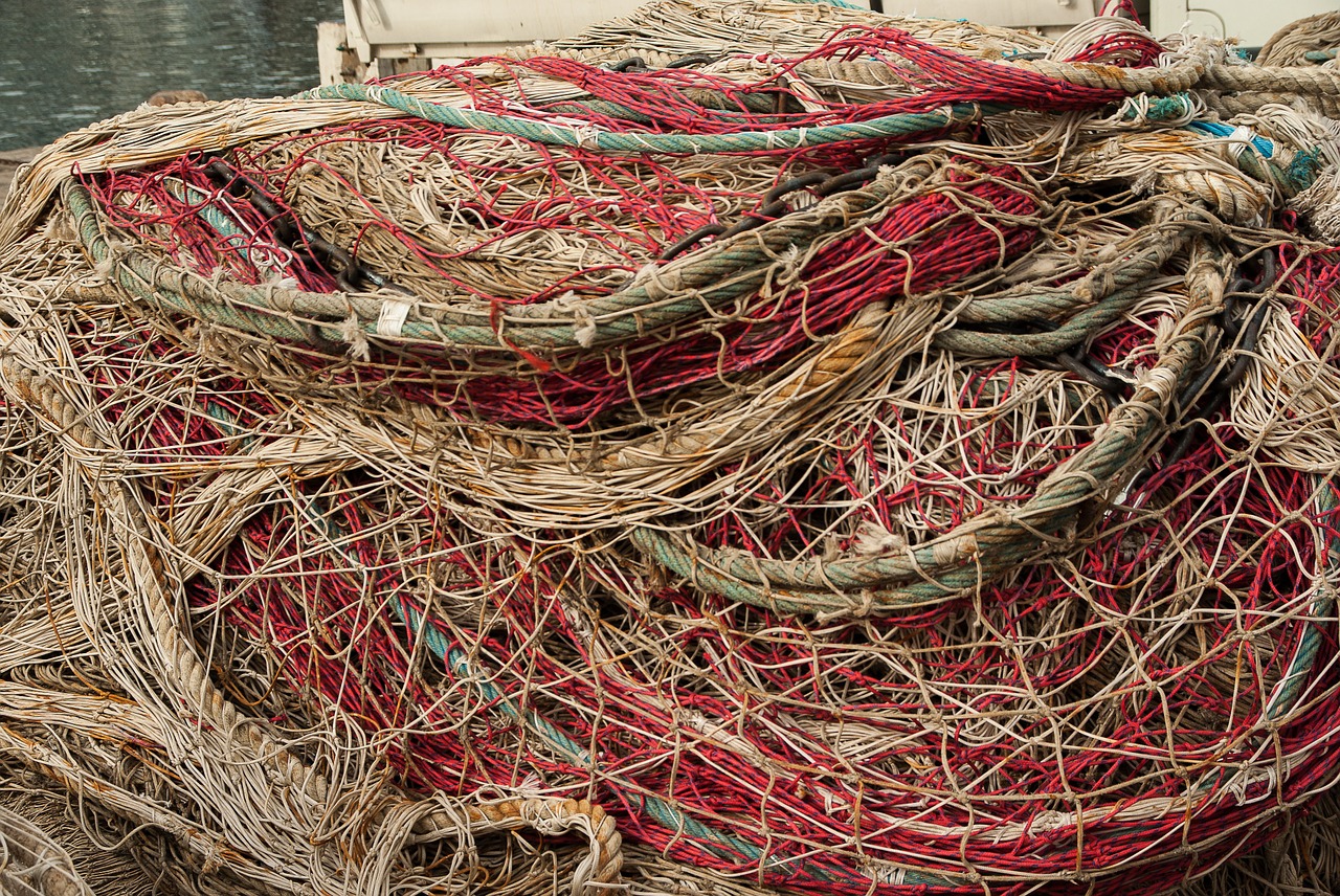 fishing nets fishing rope free photo