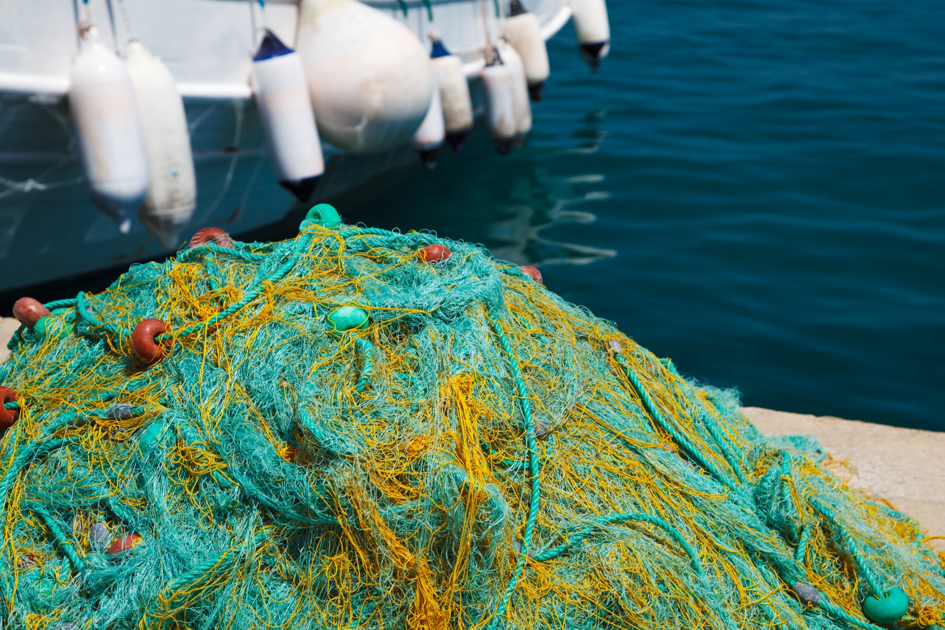 fishing net nets free photo