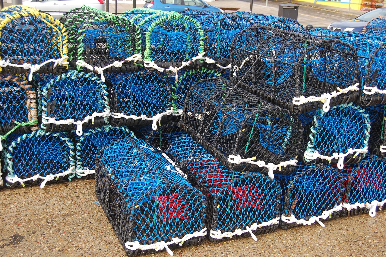 fishing nets fisherman ocean free photo