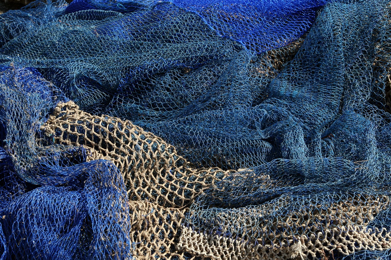 fishing nets fisheries blue free photo