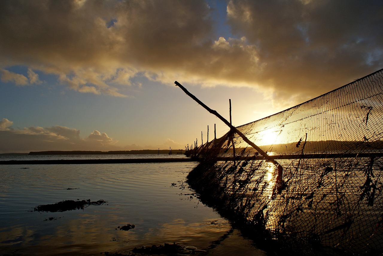 fishing nets beach fishing-net free photo