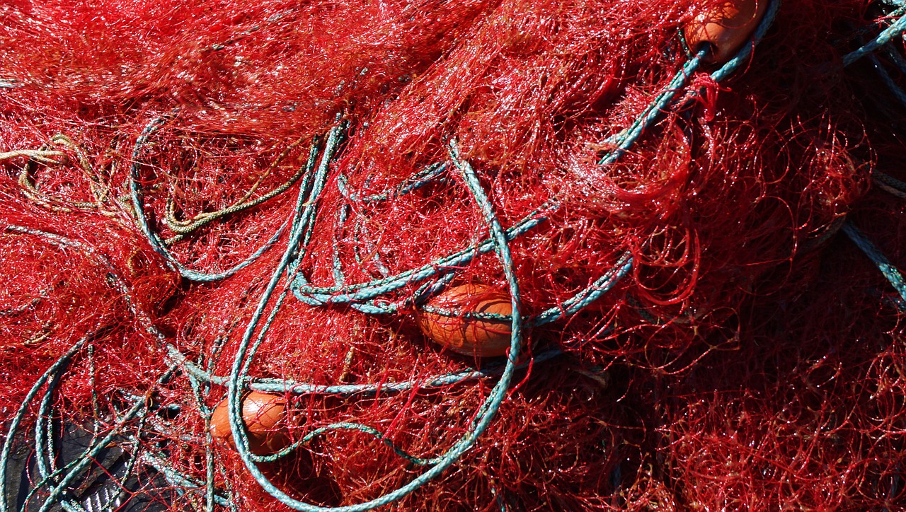 fishing nets online fishing free photo