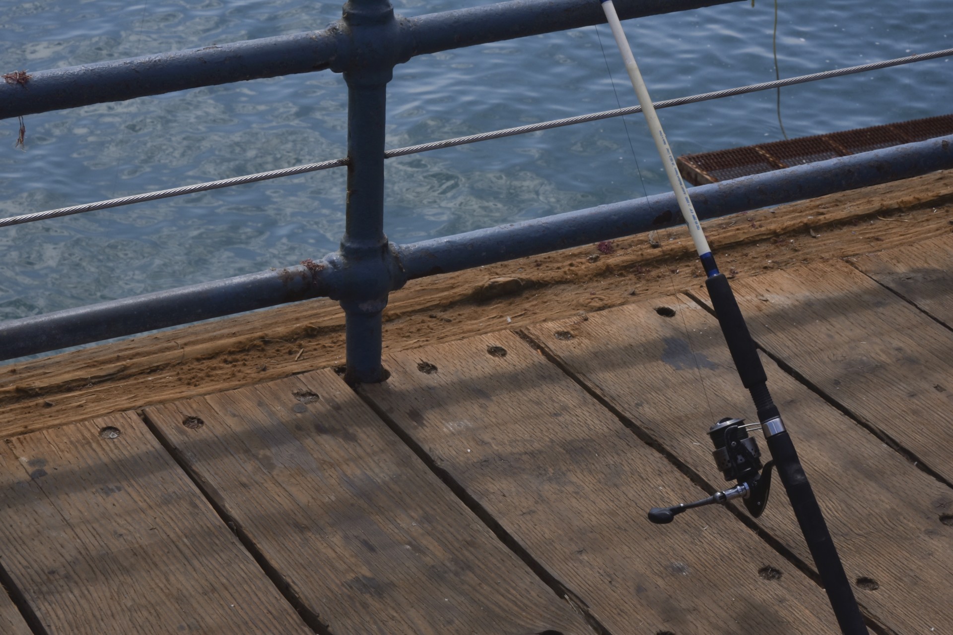 fishing pole ocean free photo