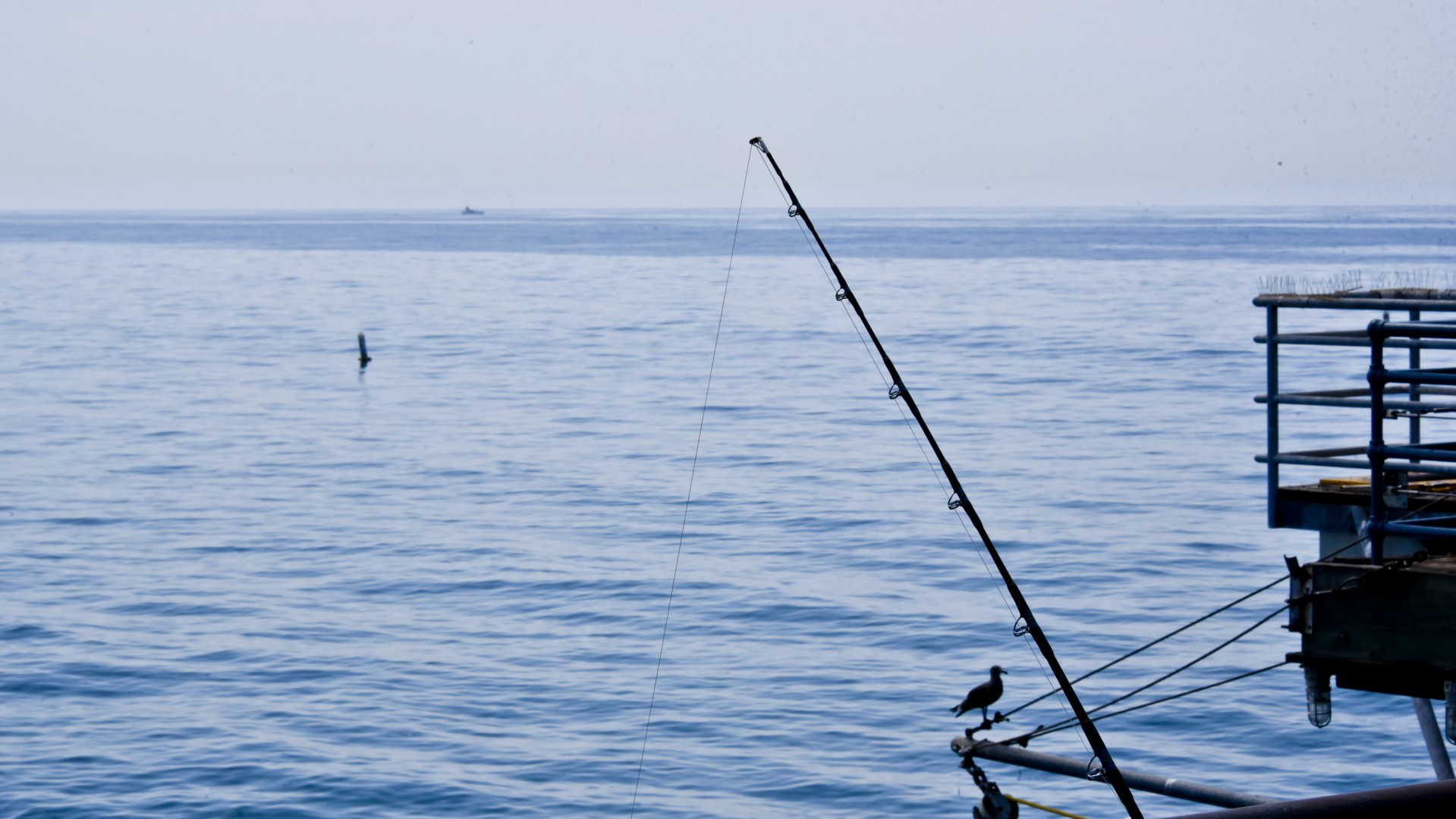 Download free photo of Fishing,pole,ocean,pier,seagull - from
