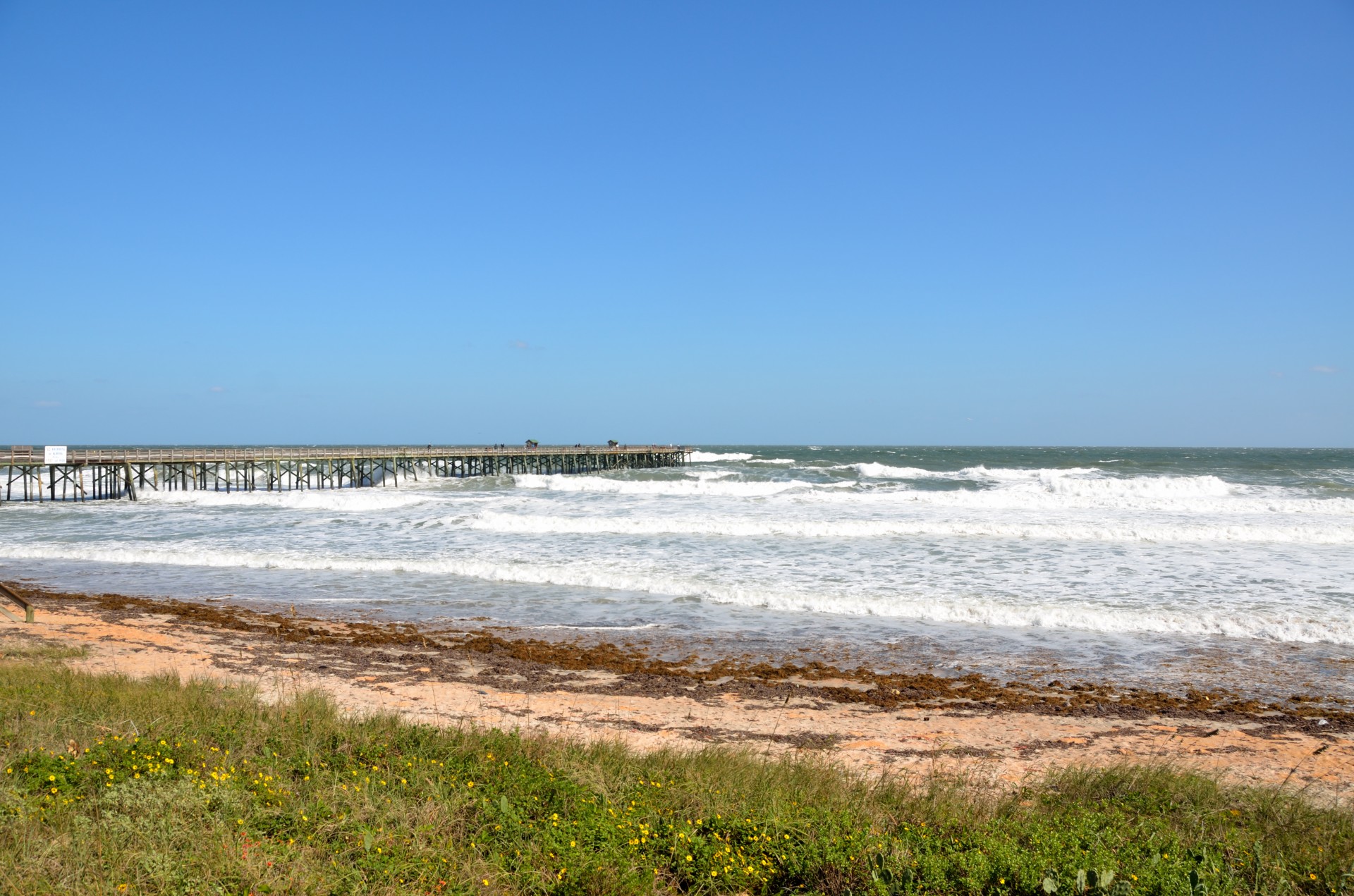 fishing pier ocean free photo