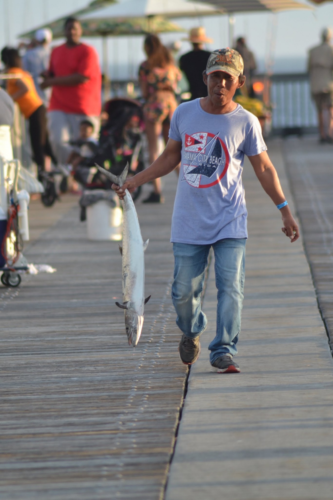 fishing pcb fishing pier free photo