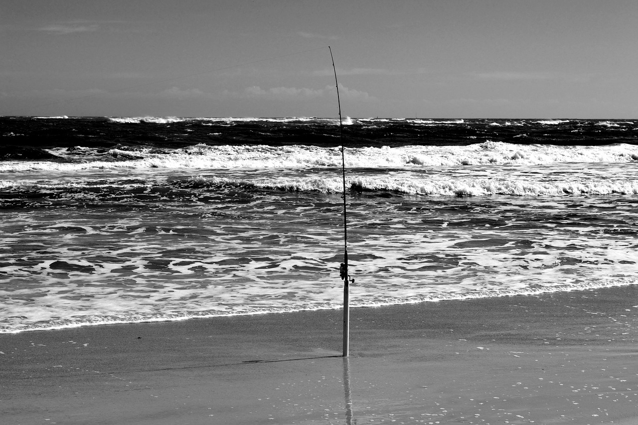 fishing pole  beach  ocean free photo