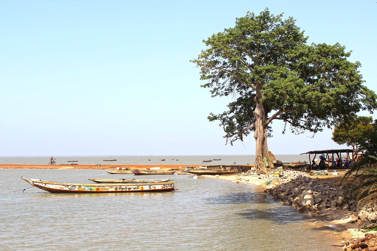 fishing port fishing boat harbor free photo