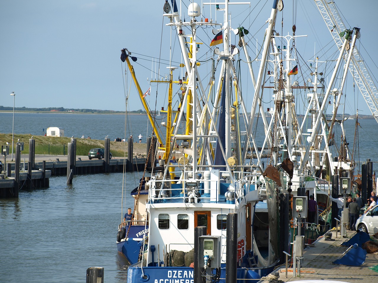 fishing port fishing vessel shrimp free photo