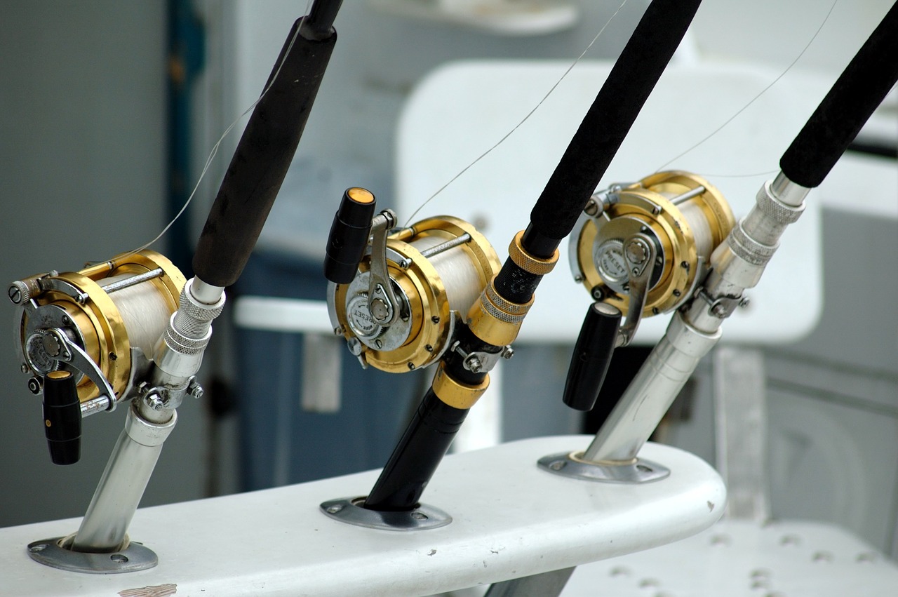 fishing reels rod equipment free photo