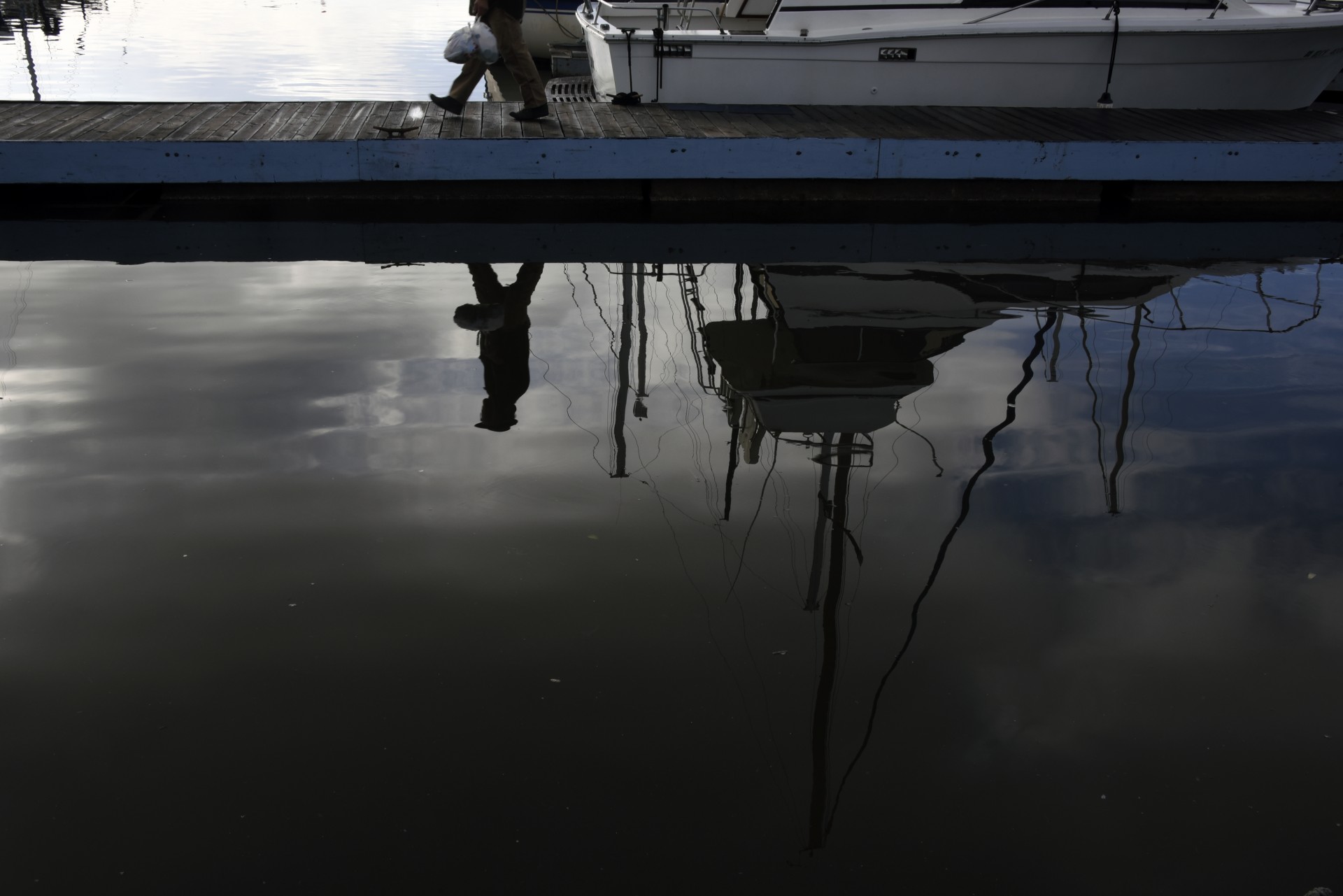 marina rowboat row boat free photo