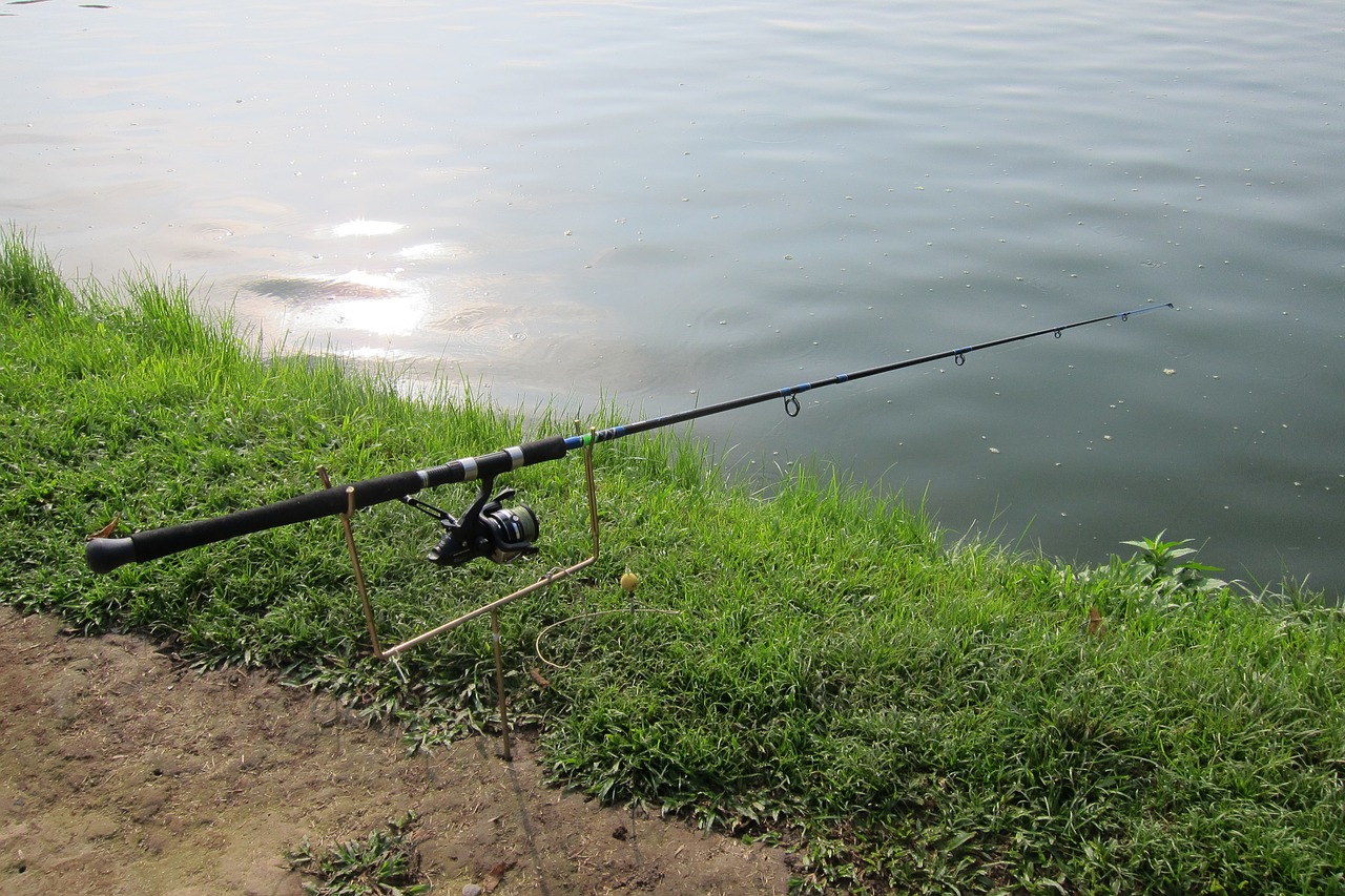 fishing rod fishing hobby free photo