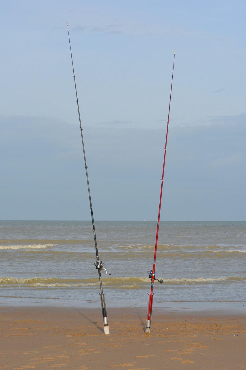 fishing rod beach sea free photo