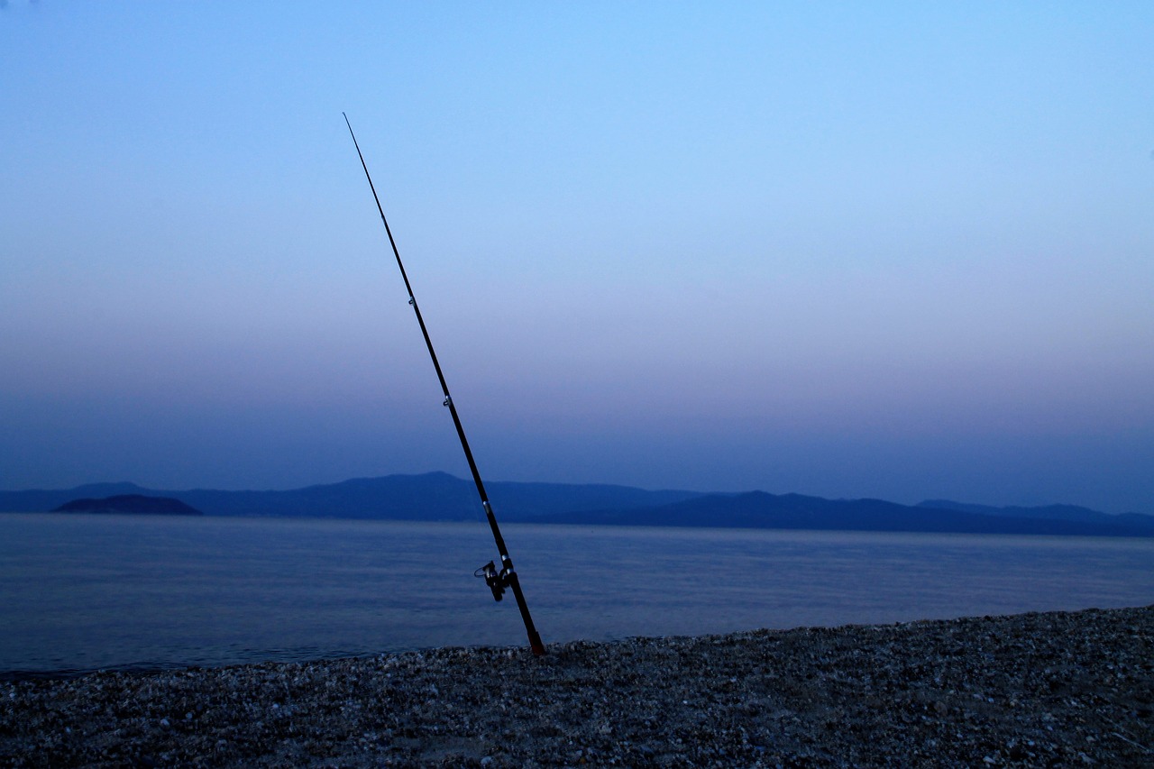 fishing rod  sea landscape  nature free photo