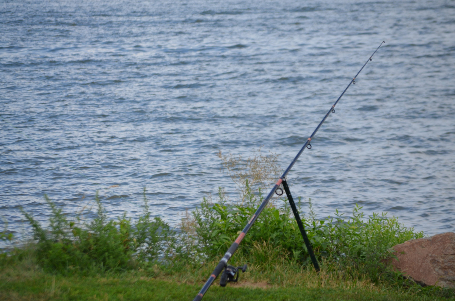 fishing rod pole free photo