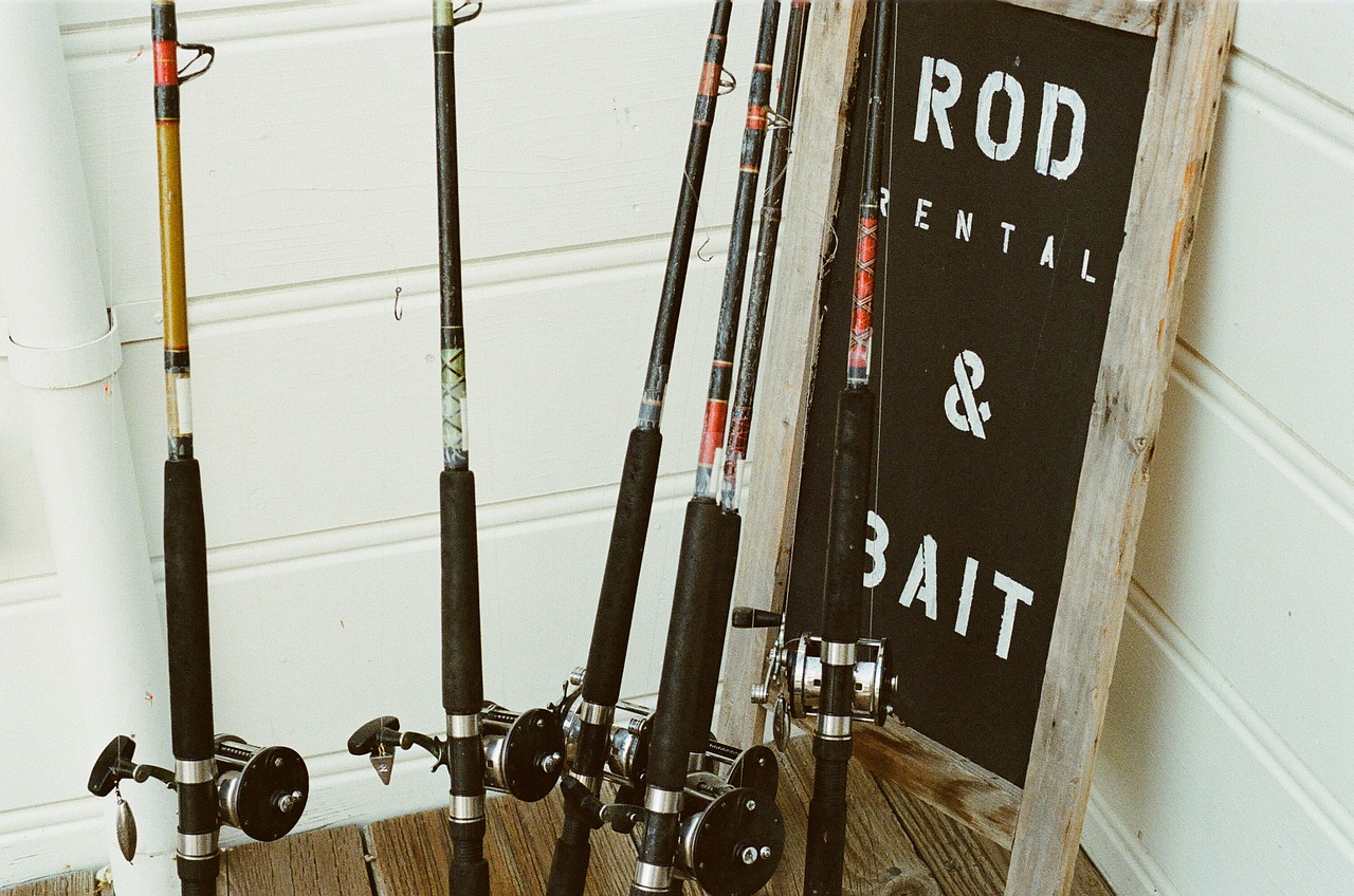 fishing rods rods fishing free photo