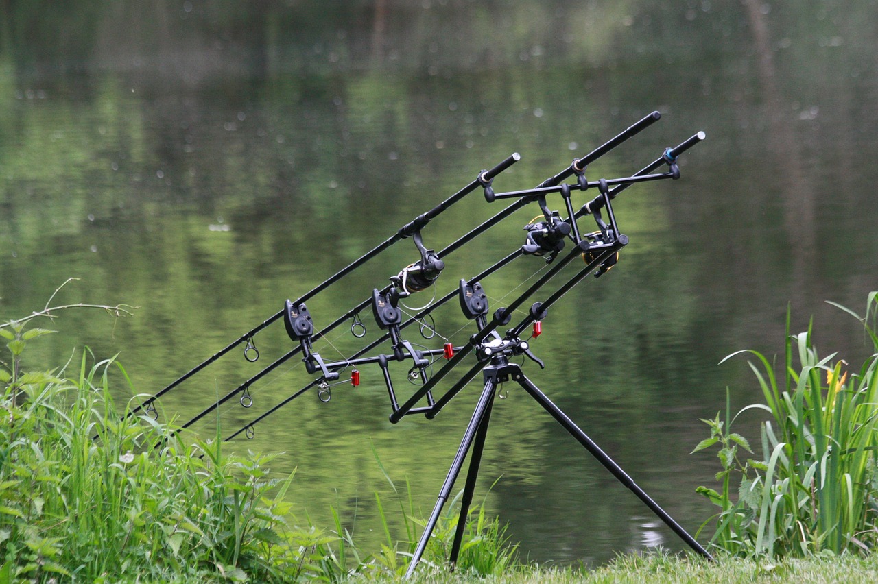 fishing rods pond green free photo