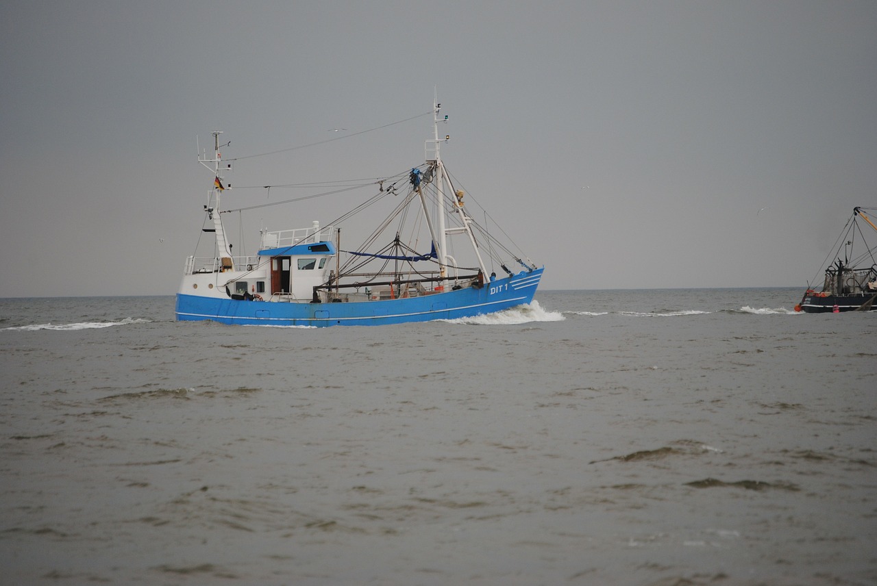 fishing vessel norderney fishing free photo