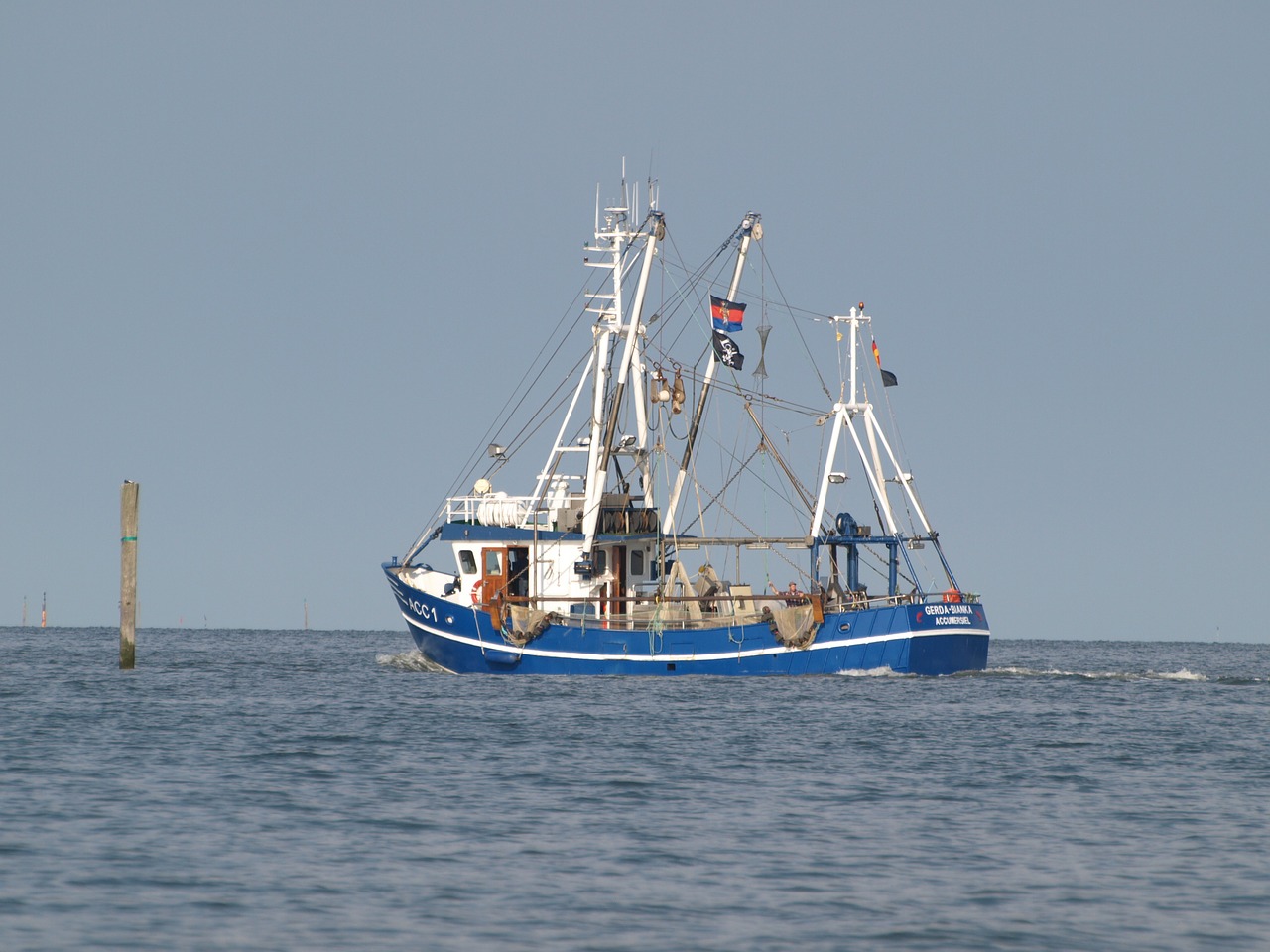 fishing vessel shrimp north sea free photo