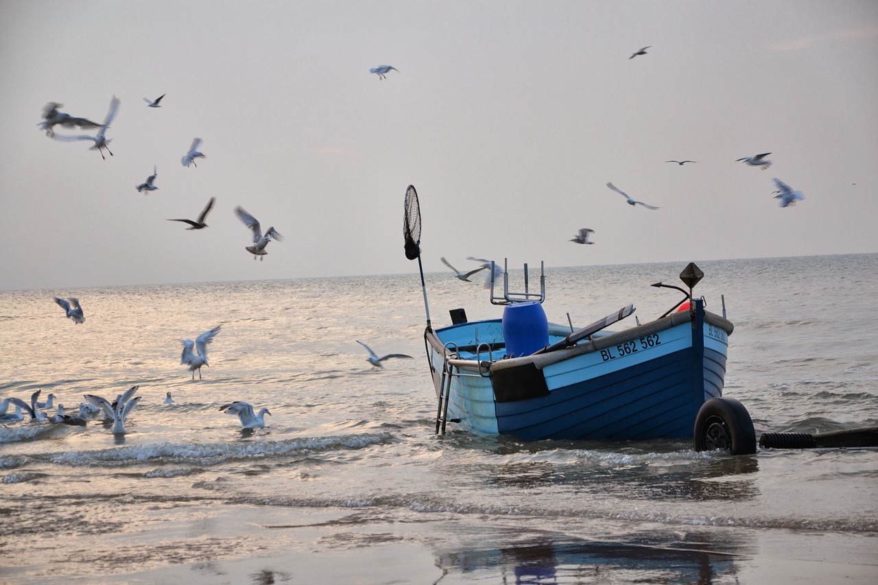 fishing vessel seagulls sea free photo