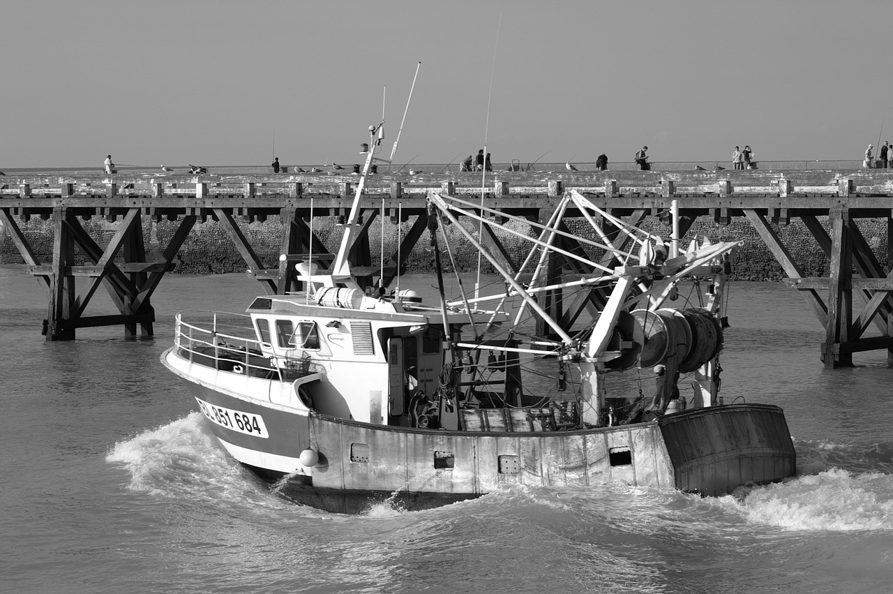 fishing vessel port france free photo