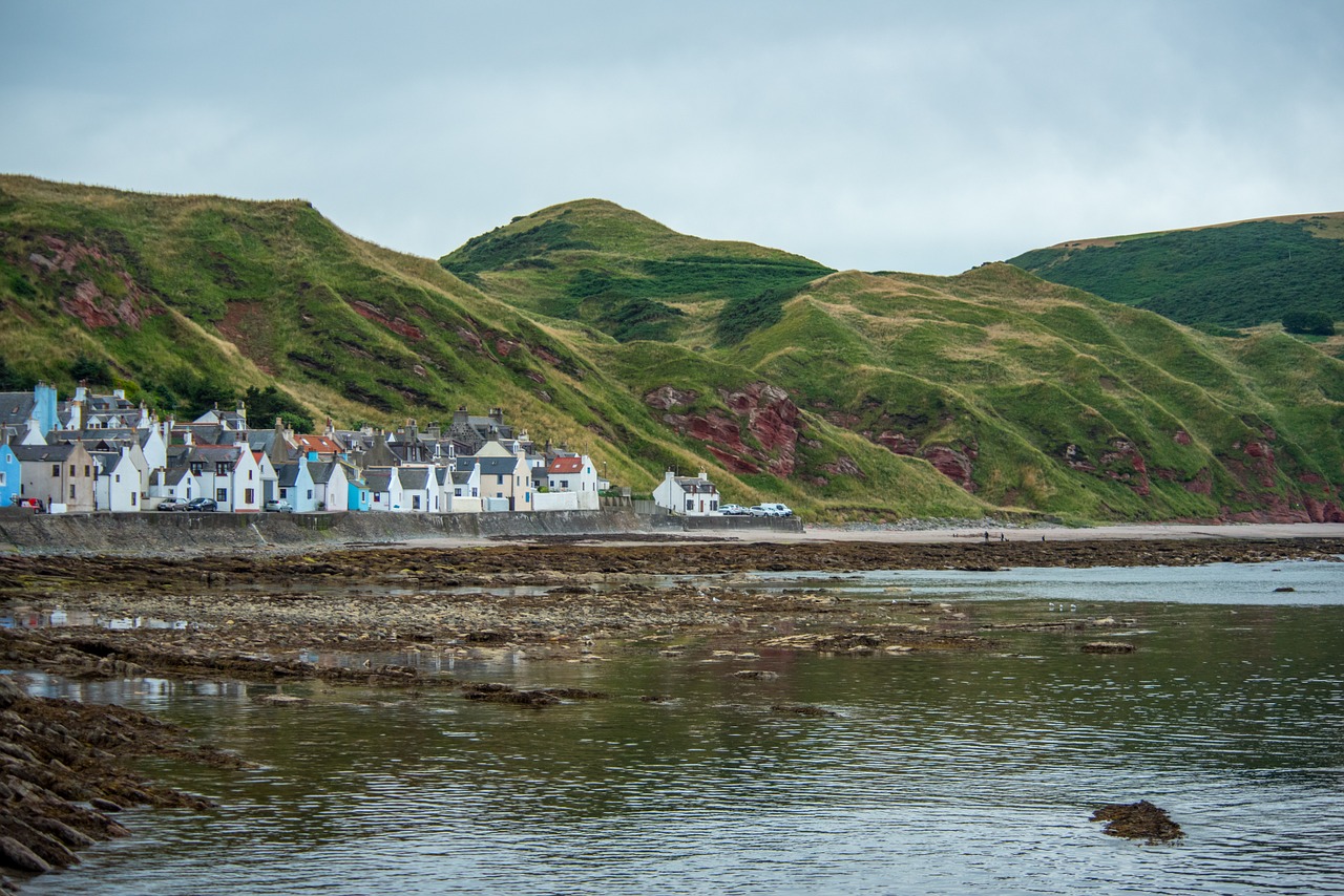 fishing village fish city free photo